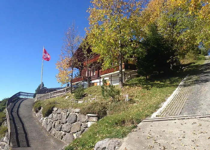 Chalet - Haus Ahorn Ost Hasliberg