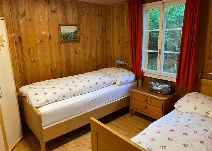 Chalet - Haus Ahorn Ost