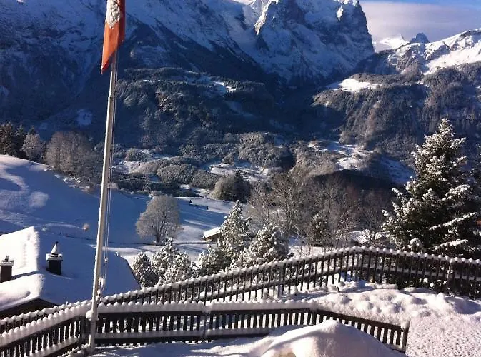 - Haus Ahorn Ost Chalet *